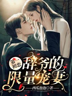 爆款小说第一初恋，辞爷的限量宠妻全文免费阅读