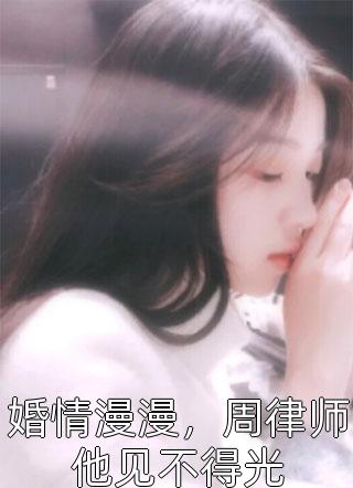 新上《婚情漫漫，周律师他见不得光》半支烟头小说免费阅读