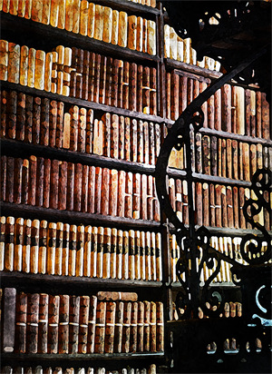 沈星洛傅斯辰主角的小说抖音文免费阅读