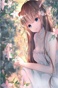 陆琛谢知行章节列表免费阅读