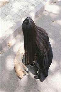 白霜霜陆景辰全文免费阅读(白霜霜陆景辰)完结版阅读