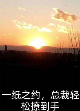 一纸之约，总裁轻松撩到手海盐芝士小说最新章节阅读