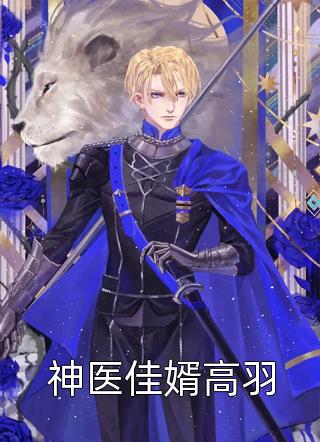 神医佳婿高羽小王爷小说（完整版）阅读
