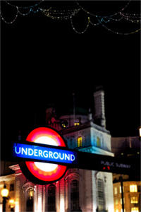 《男友摔了我的猫》小说全文免费试读(李卿卿陆扬)最新章节目录