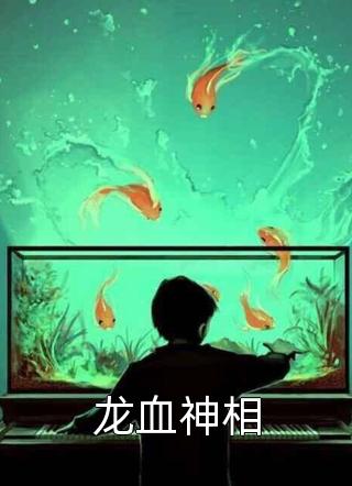 灰小猪写的小说龙血神相最新阅读