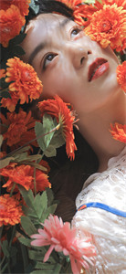 宁宛西陆轩沈乐馨全文在线阅读