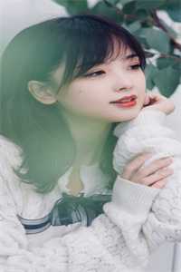 《墙墙是我》知乎小说 向以蓝蒋川鸣全章节免费阅读