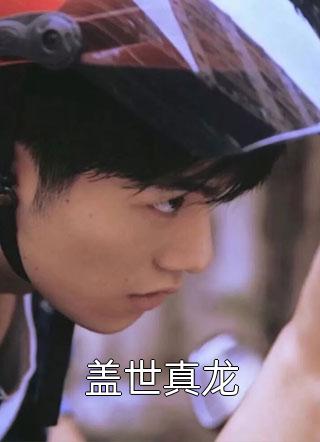 《盖世真龙》完结小说(全文在线阅读)