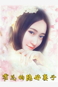 完结版小说霍总的隐婚妻子第4章阅读