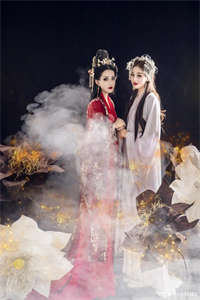 （穿越重生）我真不想当皇上主角赵政全文全章节目录阅读