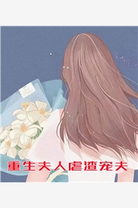 重生夫人虐渣宠夫冯盈盈莫忱远小说_重生夫人虐渣宠夫免费阅读
