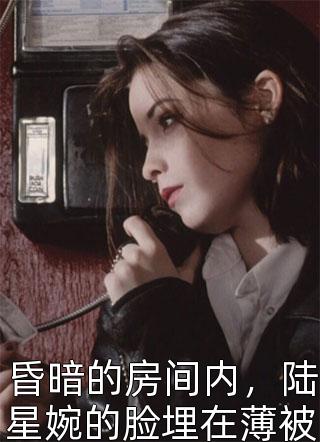 木木夕写的小说昏暗的房间内，陆星婉的脸埋在薄被中最新阅读