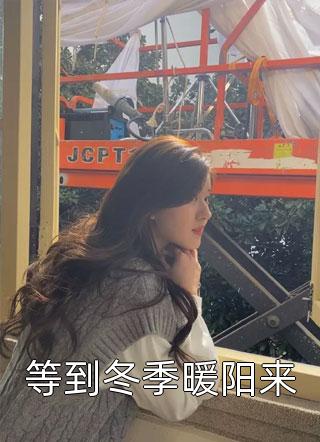 猫尾写的小说等到冬季暖阳来小说全文阅读