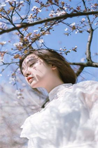 不曾有的安全感全本免费小说章节目录阅读