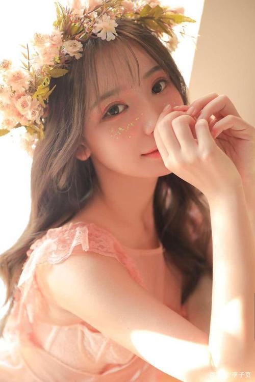 (宁素婉沈铎)愿如梁上燕小说全文完结版阅读