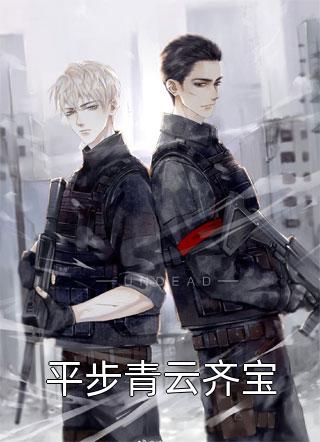 平步青云齐宝小说 平步青云齐宝免费阅读