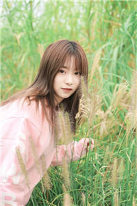 宁嘉歌墨闻城完本小说全文免费阅读