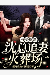 爆款小说强势虐爱：沈总追妻火葬场全文免费阅读