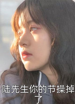 全章节小说陆先生你的节操掉了夏凉笙最新阅读