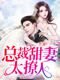 总裁甜妻太撩人免费小说风亭全文阅读