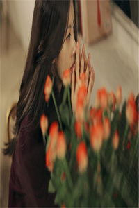 秦峰夏薇雨《君临天下系统》全文小说最新章节阅读