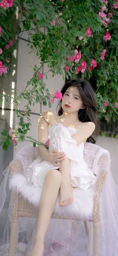 护花使者在都市（护花使者在都市）全文小说完结版阅读