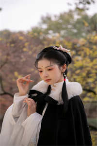 曲忆司空伟泽（全本）《曲忆司空伟泽》小说全章节目录阅读