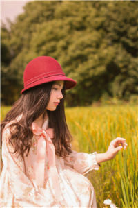 《金主太正经》（短篇完结）黎梨任杨越小说全章节目录阅读