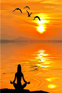 《追逐他十年，她累了》全章节小说_陆亦轩苏灵大结局阅读