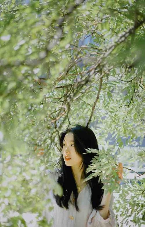 （全章节）他的女孩不要他了苏清歌傅司寒在线阅读