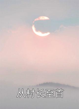 从村长至首真庸小说（完整版）阅读