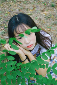 洛云烟慕司明免费小说全文阅读