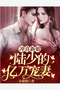 (全章节)冲喜新娘：陆少的亿万宠妻-冲喜新娘：陆少的亿万宠妻小憧憬在线阅读