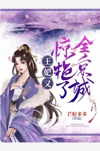 王妃又惊艳全京城了