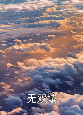 《无双城》完结小说(全文在线阅读)
