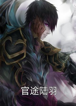 官途陆羽风和暖阳大结局小说全章节阅读