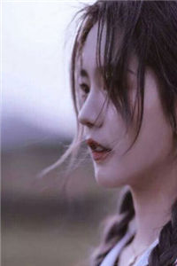 11540陶枝江起淮免费阅读