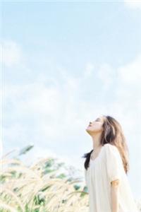 《除夕夜离婚》叶悠然慕晋扬全集完结版阅读