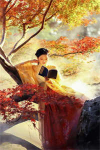 《奈何父皇独宠我》崔炎苏七七全章节小说完结版阅读