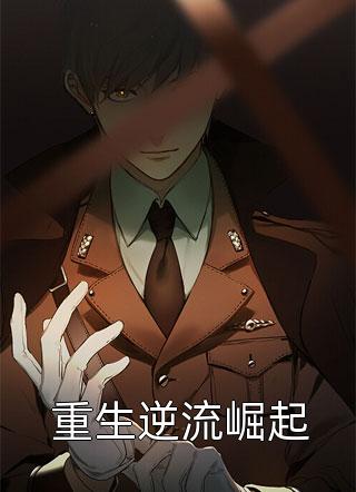 重生逆流崛起流云18小说（完整版）阅读