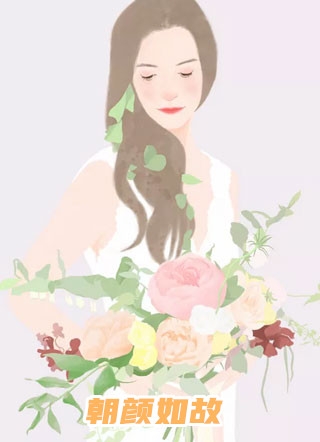 朝颜如故秦木木小说全文免费阅读