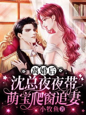 离婚后沈总夜夜带萌宝爬窗追妻-颜诗沈辞-完结版小说章节目录阅读