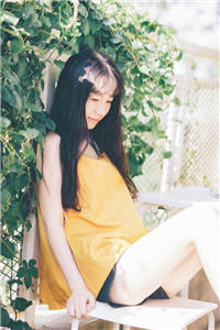 叶眠眠陆厉琛小说免费小说全文阅读