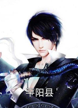爆款小说平阳县全文免费阅读