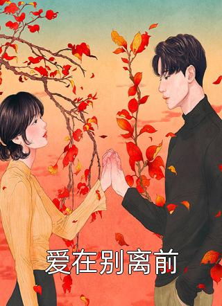 爱在别离前一夕明月在线阅读-爱在别离前全文免费阅读