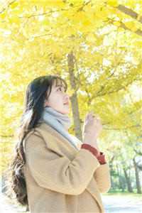 凤倾颜夜君晟全本免费小说章节目录阅读