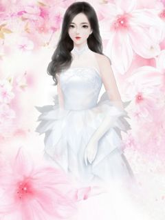 爆款小说爱若如初见全文免费阅读