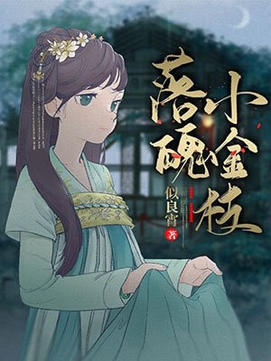 似良宵的小说_落魄小金枝柳儿陆祁小说阅读