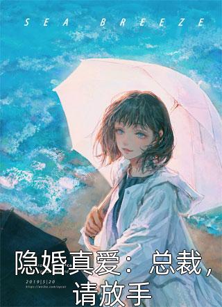 隐婚真爱：总裁，请放手小说全文林锦安免费阅读