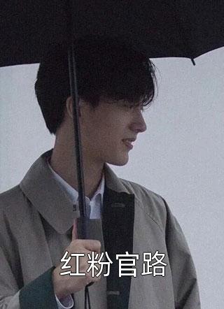 《红粉官路》小说完整章节红粉官路免费阅读